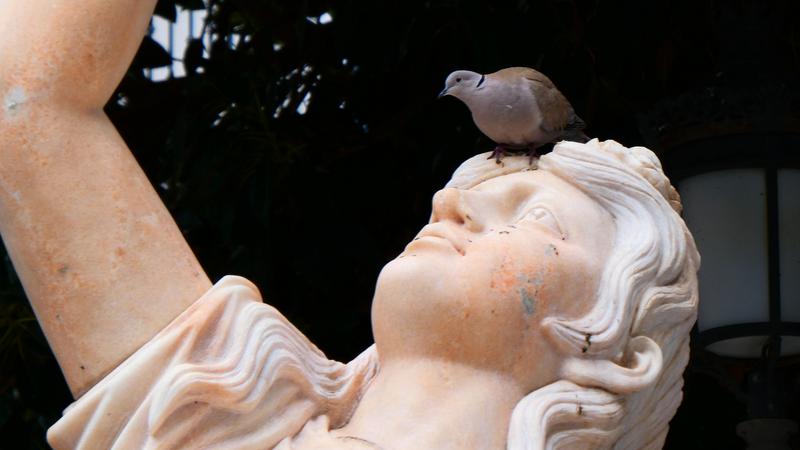 Parue dans : Plaza de la Union Europea