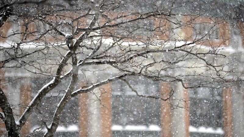 Parue dans : Ville de Québec