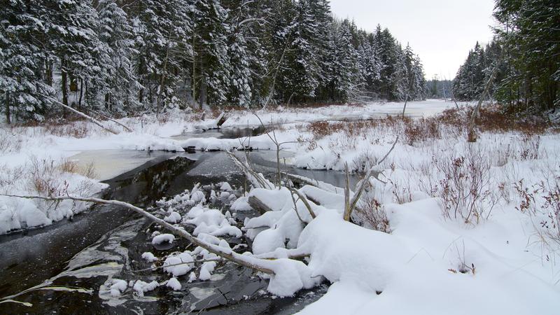 Parue dans : Parc naturel régional de Portneuf